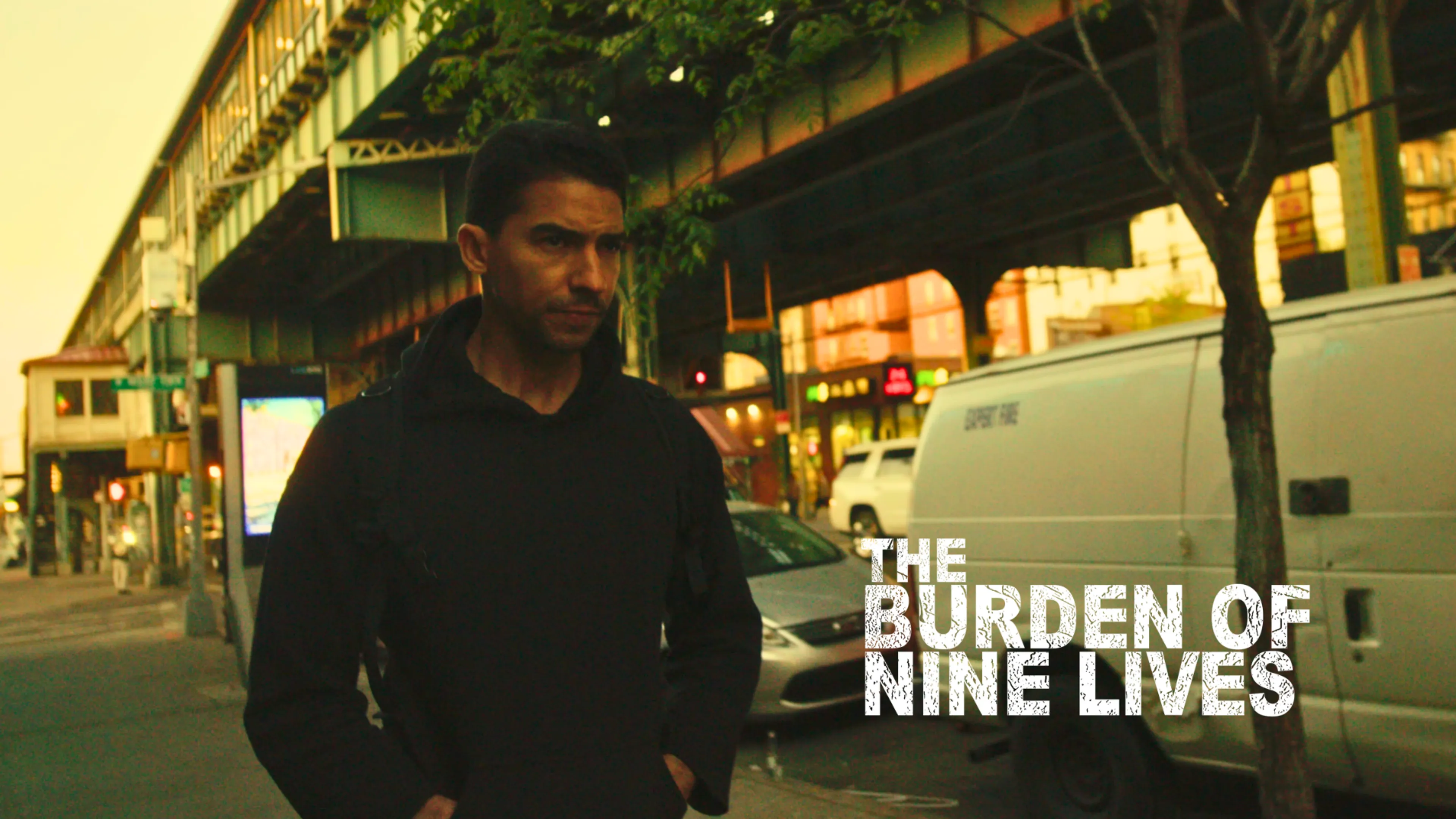 The Burden of Nine Lives poster